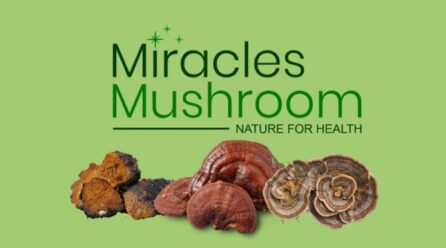 Miracles Mushroom Superfoods Pvt. Ltd. Launches Premium Line of Medicinal Mushroom Products